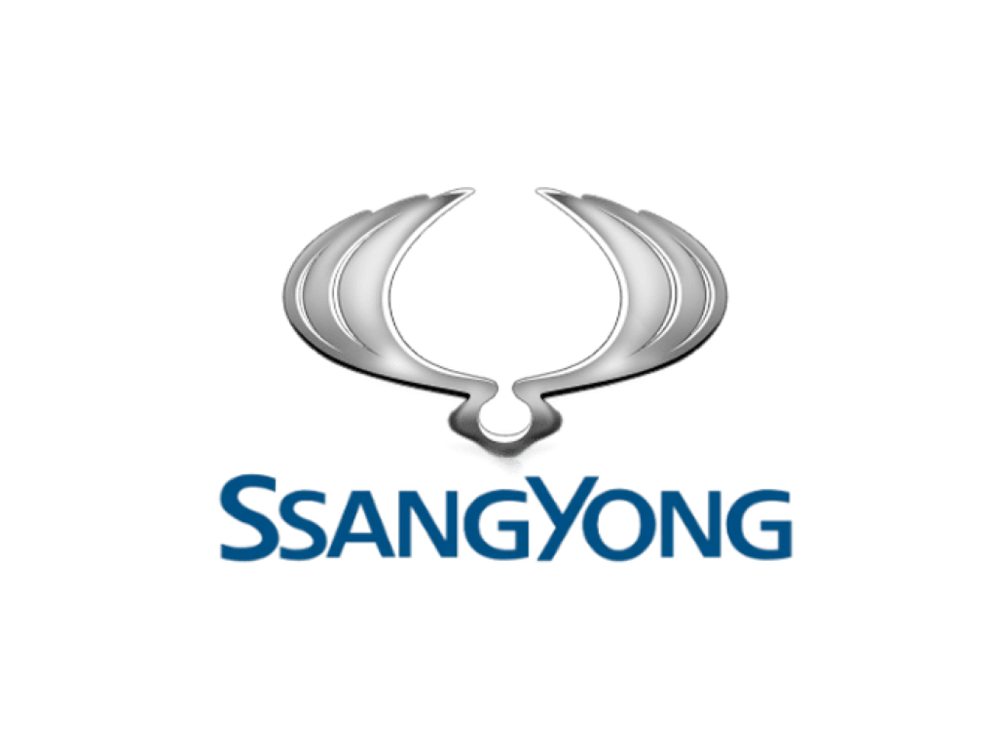 SSANG YONG
